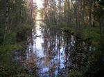 Kanal  från ångsåg till gölen